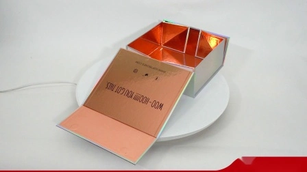 Papelão rígido dobrável impresso de luxo personalizado caixa de presente de embalagem de papel dobrável com magnético para vinho/vestuário/vestuário/sapatos/cosméticos/presente
